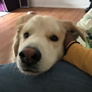 Meet your Posher, Allison